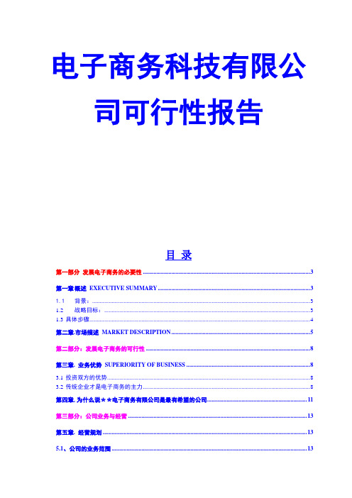 电子商务科技有限公司可行性报告