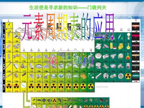 鲁科版高中化学必修二《元素周期表的应用》课件