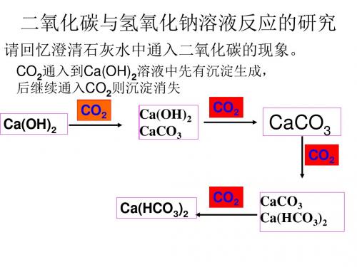 二氧化碳与氢氧化钠溶液反应的研究(新2019)