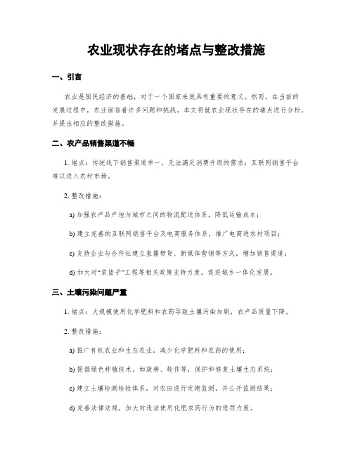 农业现状存在的堵点与整改措施