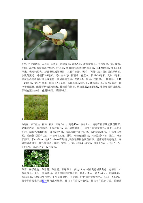 图片多类植物鉴定