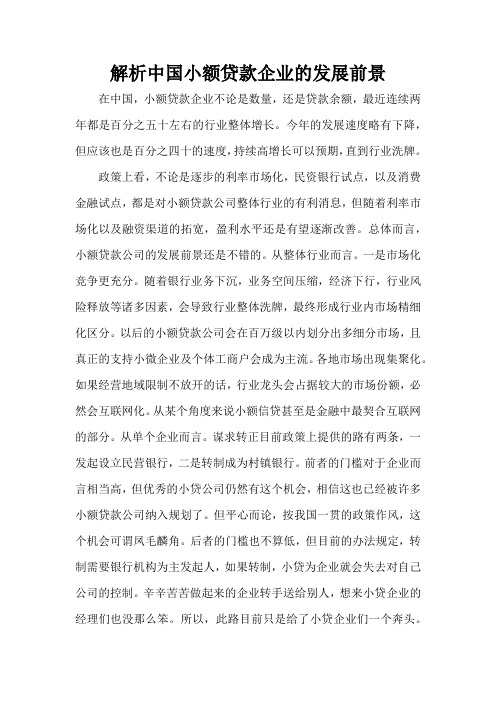 解析中国小额贷款企业的发展前景