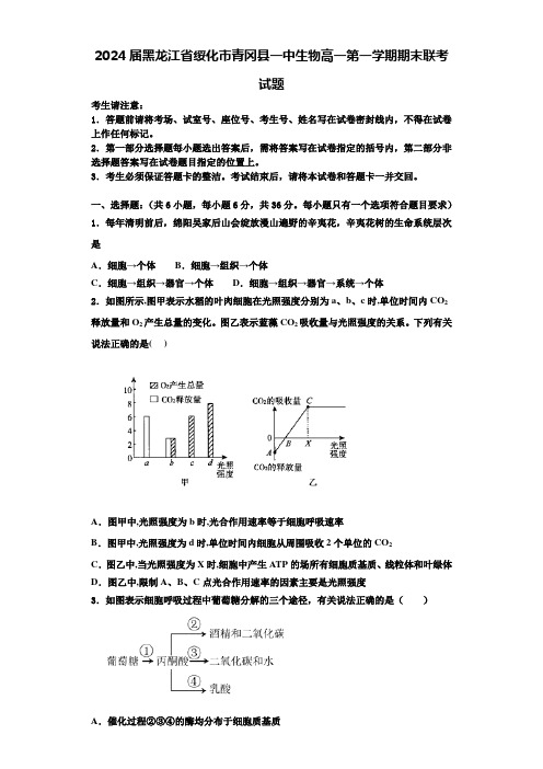 2024届黑龙江省绥化市青冈县一中生物高一第一学期期末联考试题含解析