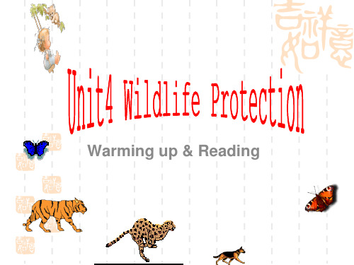 浙江省诸暨市牌头中学人教高中英语必修二课件:Unit 4 Wildlife Protection 2