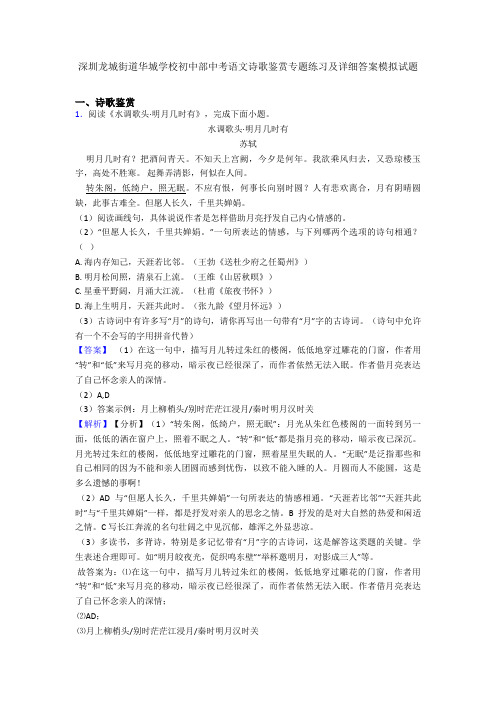 深圳龙城街道华城学校初中部中考语文诗歌鉴赏专题练习及详细答案模拟试题