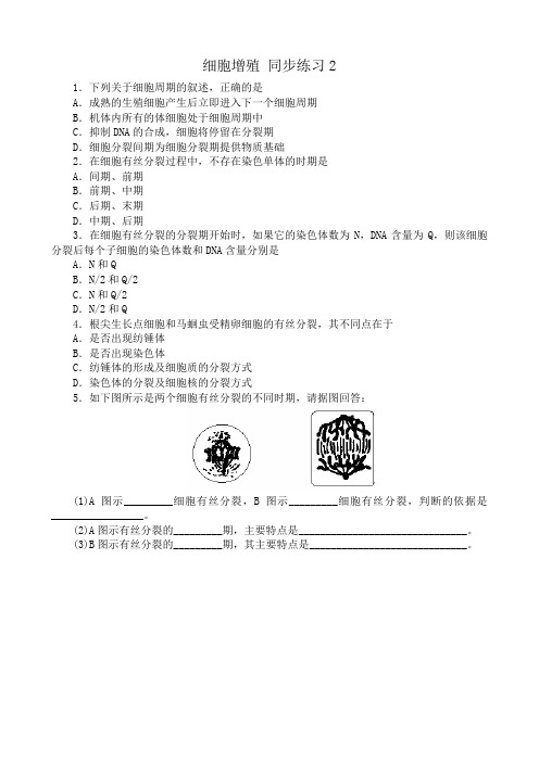 苏教版高中生物必修1细胞增殖 同步练习2