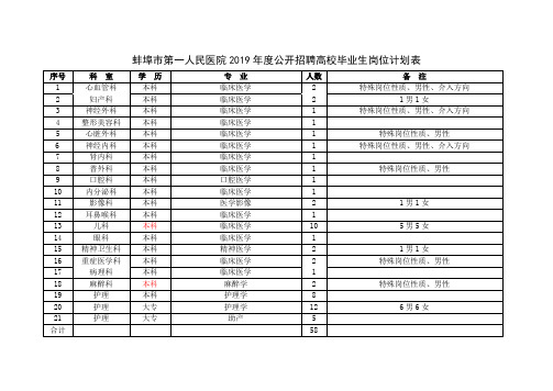 2019年度公开招聘高校毕业生岗位计划表.doc