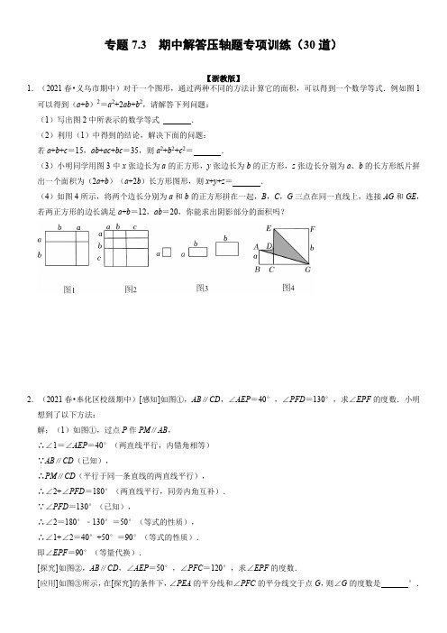 浙教版七年级数学下册 期中解答压轴题专项训练(30道)