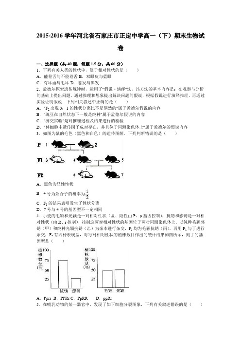 河北省石家庄市正定中学2015-2016学年高一下学期期末生物试卷Word版含解析