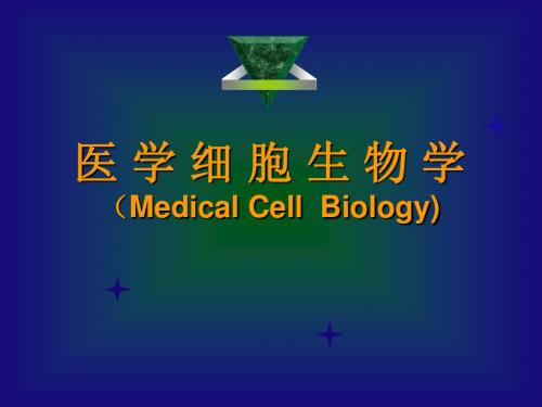 细胞生物学线粒体