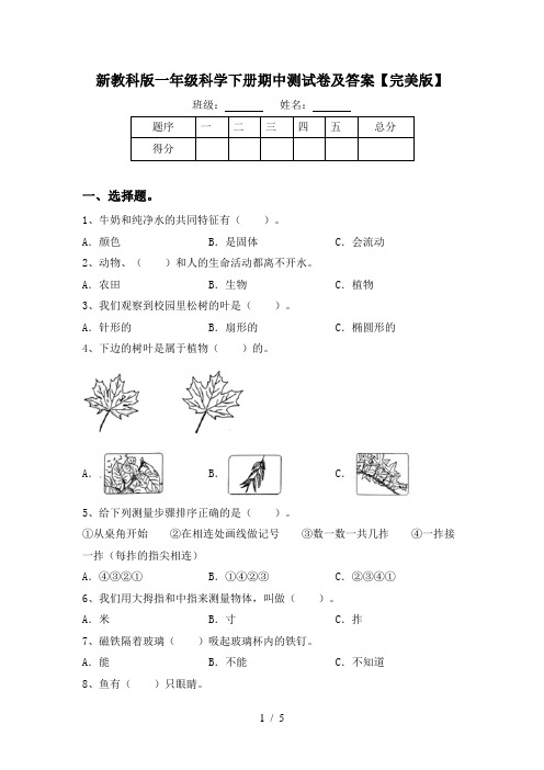 新教科版一年级科学下册期中测试卷及答案【完美版】