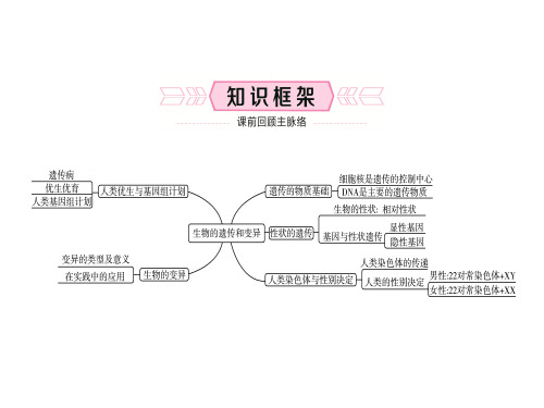山东潍坊中考备战生物(课件)八年级上册 第四单元 第四
