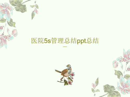 医院5s管理总结ppt总结38页PPT