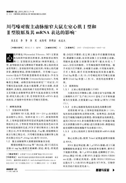川芎嗪对腹主动脉缩窄大鼠左室心肌Ⅰ型和Ⅲ型胶原及其mRNA表达的影响