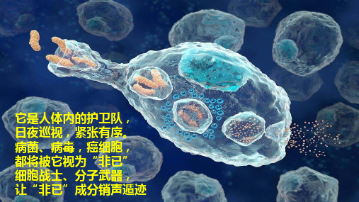 高中生物新教材选择性必修一4-1免疫系统的组成和功能