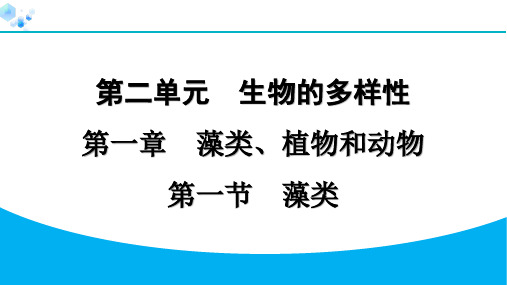 最新七年级生物上册2-1藻类 专题训练 课件