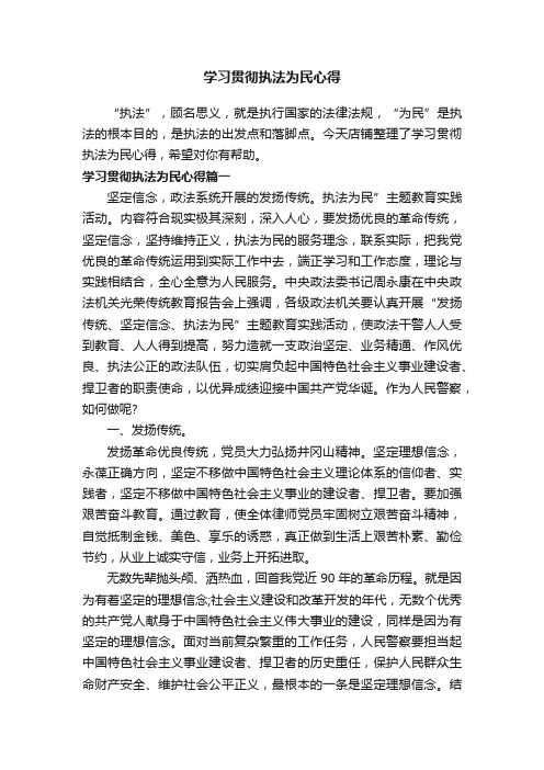 学习贯彻执法为民心得