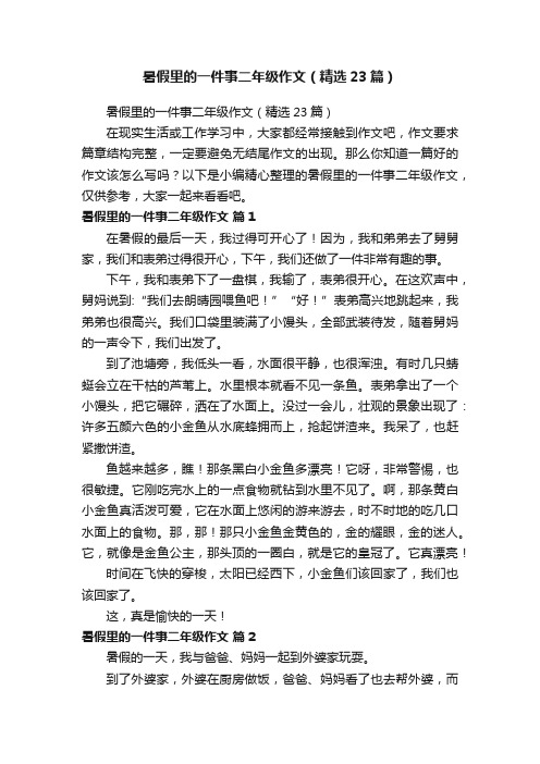 暑假里的一件事二年级作文（精选23篇）