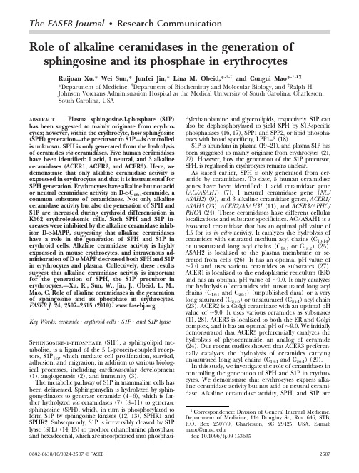 Role of alkaline ceramidases in the generation ofsphingosine and its phosphate in erythrocytes