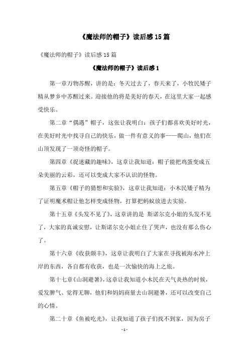 《魔法师的帽子》读后感15篇