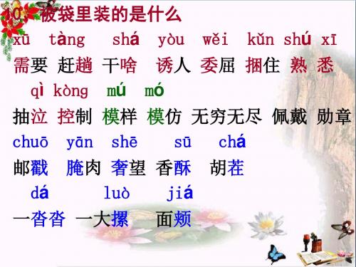 五年级语文上册第三单元被袋里装的是什么PPT课件2鄂教版