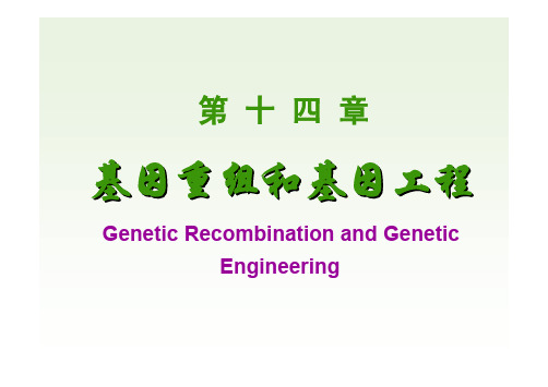 中国医科大学-生物化学-14 基因重组与基因工程