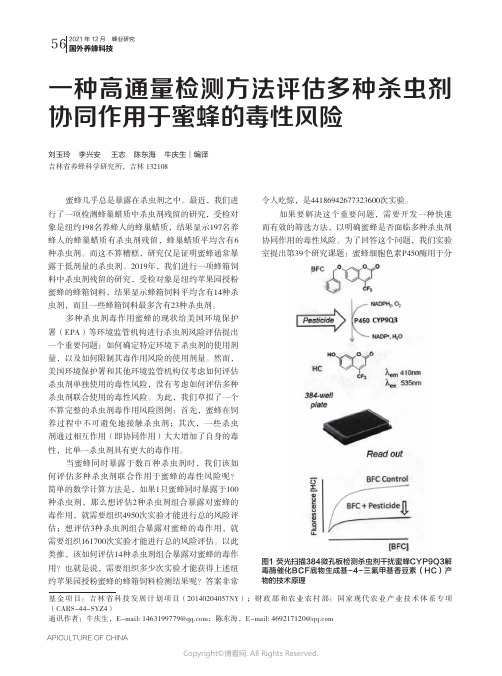 一种高通量检测方法评估多种杀虫剂协同作用于蜜蜂的毒性风险