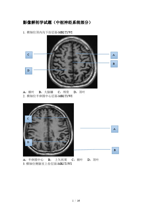 影像解剖学(中枢部分)