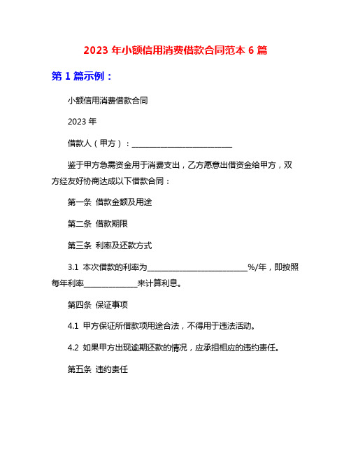 2023年小额信用消费借款合同范本6篇