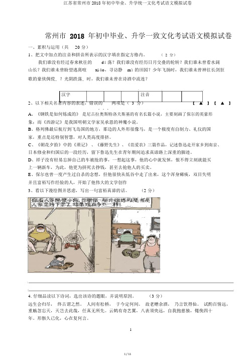 江苏省常州市2018年初中毕业、升学统一文化考试语文模拟试卷