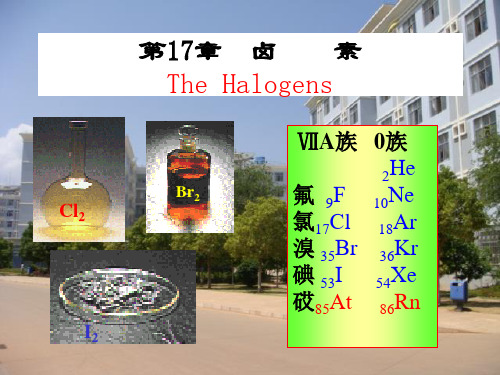 大学无机化学第17章 卤族元素