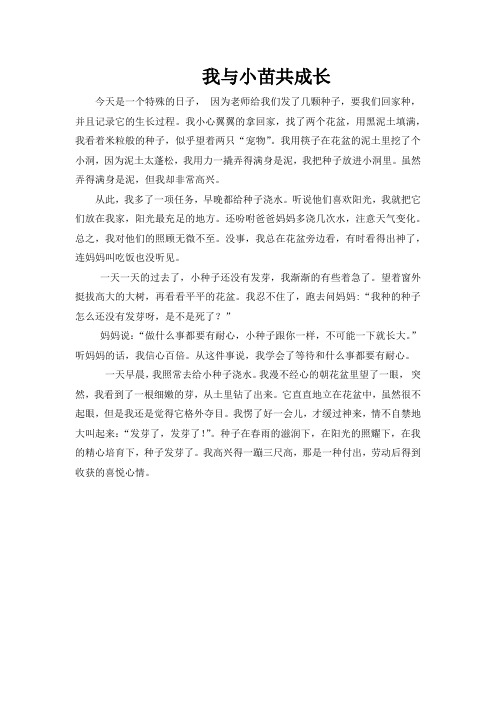 我与小苗共成长