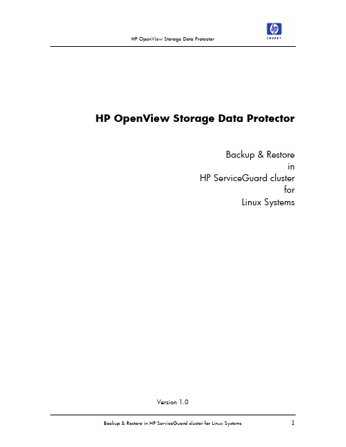 HP OpenView Storage Data Protector 备份与恢复指南说明书