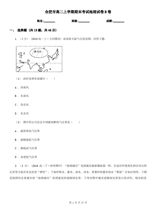 合肥市高二上学期期末考试地理试卷B卷(考试)