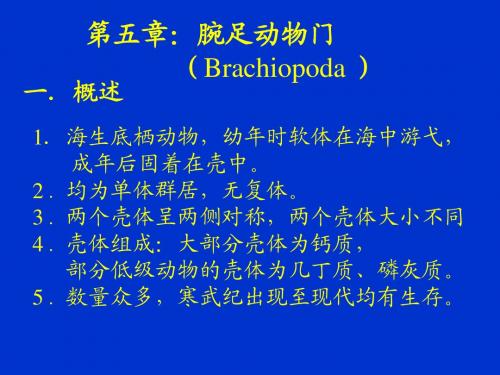 八亿年来中国古大陆环境变化及其 年代、生物、层序、事件和