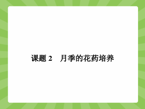 高二生物人教版选修1课件3.2 月季的花药培养