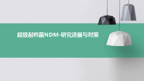 超级耐药菌NDM-研究进展与对策