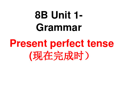 译林版英语八下现在完成时态讲解1-3单元