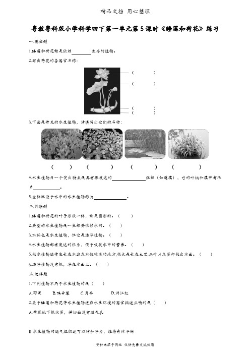 (新教材)粤教粤科版四年级下册科学 第5课 睡莲和荷花 课时练(同步练习)