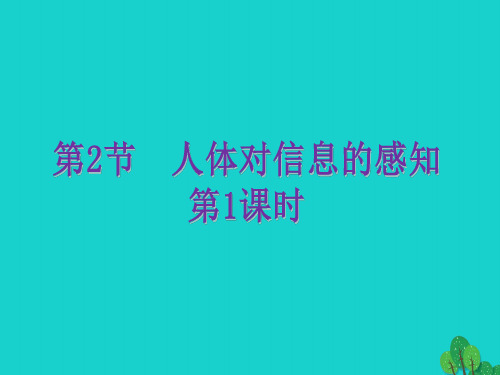 八级生物上册第6单元第16章第2节人体对信息的感知课件1(新版)苏科版