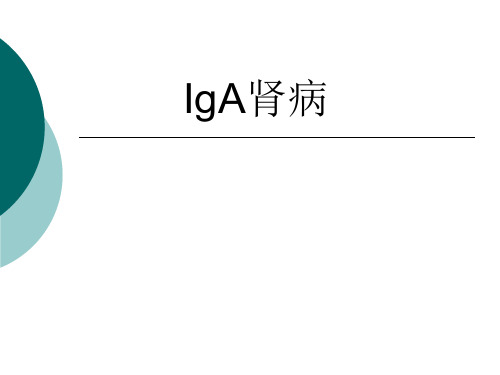 iga肾病_-精品医学课件