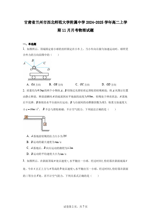 甘肃省兰州市西北师范大学附属中学2024-2025学年高二上学期11月月考物理试题