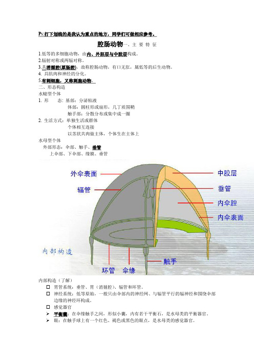 腔肠动物