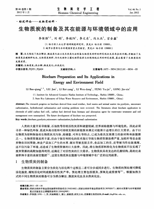 生物质炭的制备及其在能源与环境领域中的应用