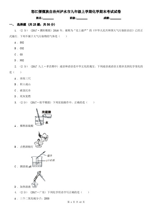 怒江傈僳族自治州泸水市九年级上学期化学期末考试试卷