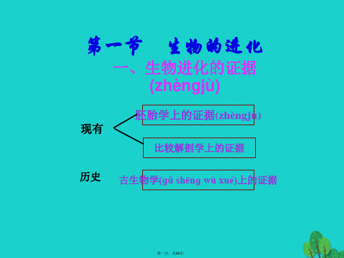 高中生物第三册第9章生物进化9.1生物的进化课件1沪科版