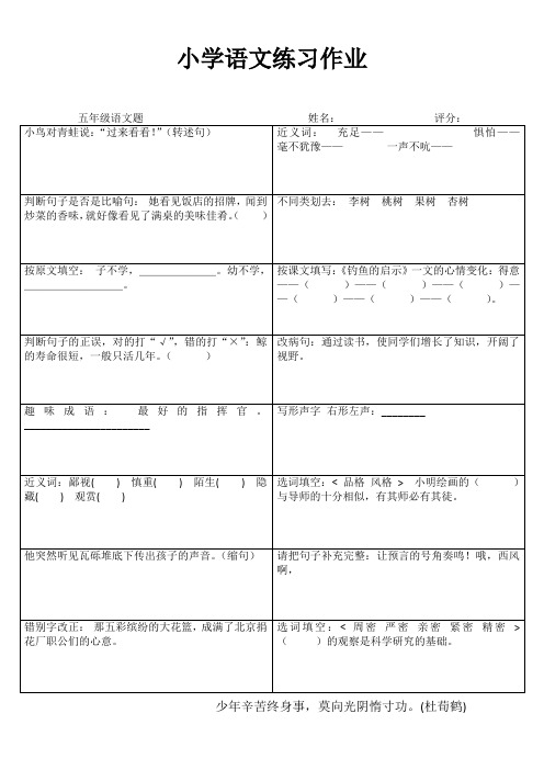 五年级语文课堂拓展精选练习I (1)