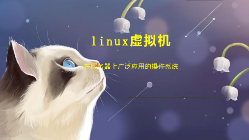 linux虚拟机