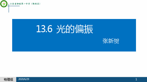 13.6  光的偏振