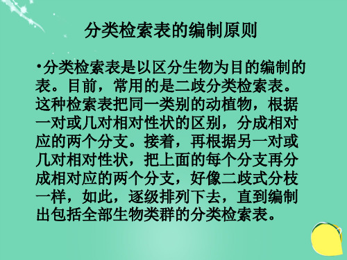 七年级生物上册 第二单元 第四章 第二节 生物的分类单位 分类检索表的编制原则课件 (新版)济南版